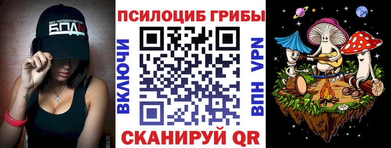 Псилоцибиновые грибы Psilocybine cubensis  Балашов 