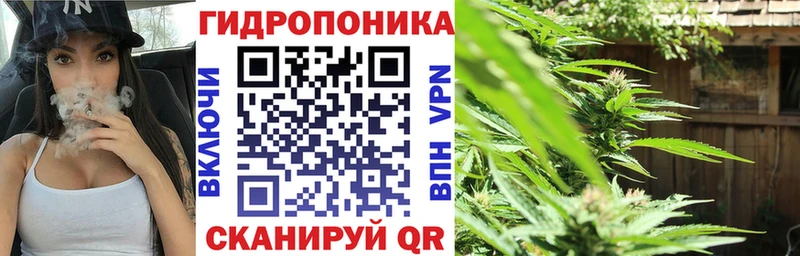 Марихуана планчик  МЕГА зеркало  Балашов 